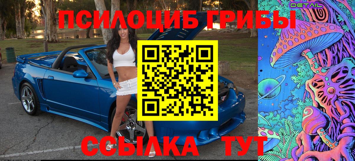 Галлюциногенные грибы GOLDEN TEACHER Гурьевск