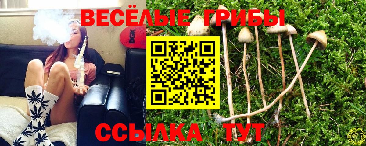 Гурьевск  купить   Вход с VPN  Галлюциногенные грибы MAGIC MUSHROOMS 